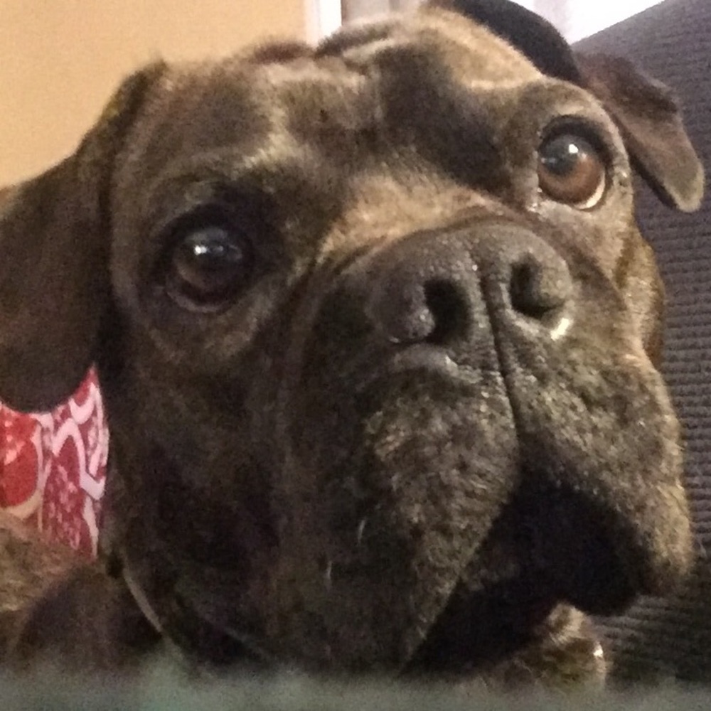 Meet your Posher, Kamala